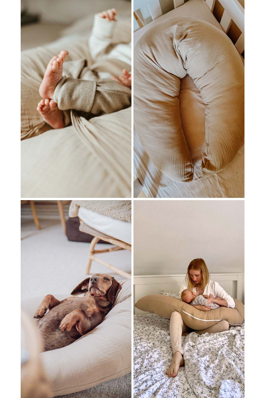 Stillkissen Musselin taupe Stillkissen Musselin taupe, Kissen, Dekoration für Zuhause, Couch, Portrait, Hund