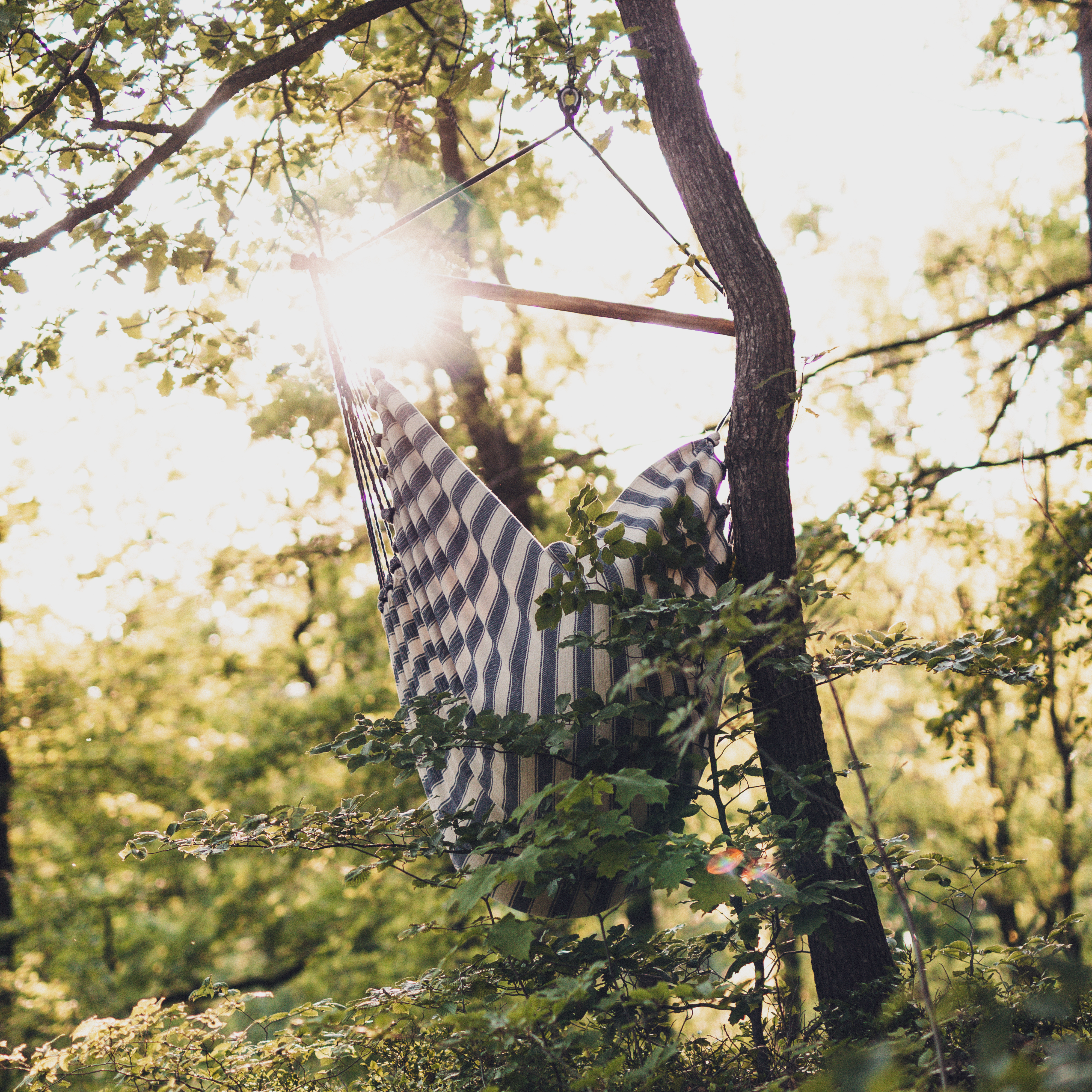 Hängesessel, Natur, Baum,