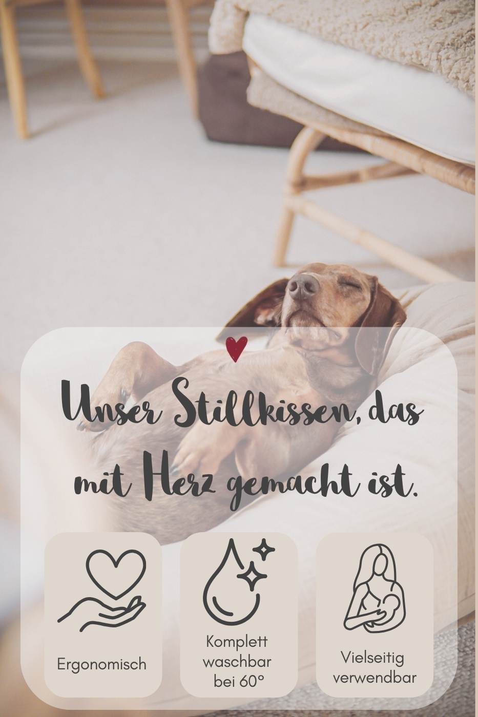 Stillkissen Musselin taupe Stillkissen Musselin taupe, Hund, Säugetier, Haustier